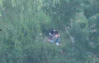 国产树林野战在线播放  第2张